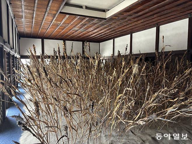 안젤름 키퍼의 ‘모건소 플랜’. 교토=김민