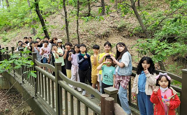 ▲ 철원군 묘장초 전교생은 최근 철원 두루웰 숲속문화촌에서 에코어드벤처 및 숲체험활동을 실시했다.
