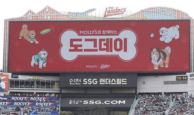 SSG가 25일 LG전 만원 관중을 이루었다. 사진 | SSG 랜더스