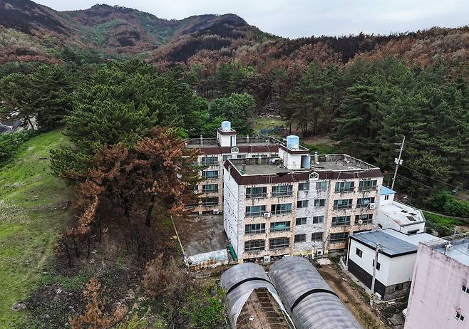 민가 위협했던 함지산 산불의 흔적 (대구=연합뉴스) 윤관식 기자 = 22일 대구 북구 조야동 민가 인근 산림이 함지산 산불로 훼손된 채 남겨져 있다. 2025.5.22 psik@yna.co.kr