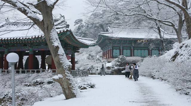 대형산불로 피해를 입기 전 고운사의 모습. 의성군 제공.