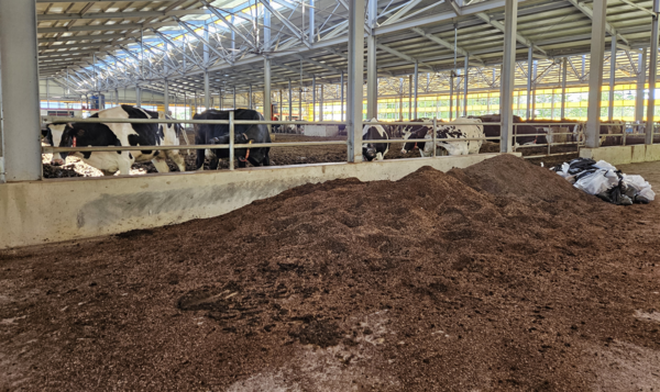 제주우유 목장에 하역해놓은 커피박.