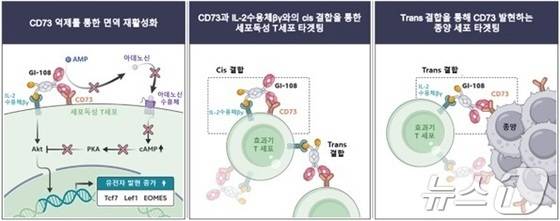 대사면역항암제 후보물질 'GI-108' 기전 모식도.(지아이이노베이션 제공)/뉴스1
