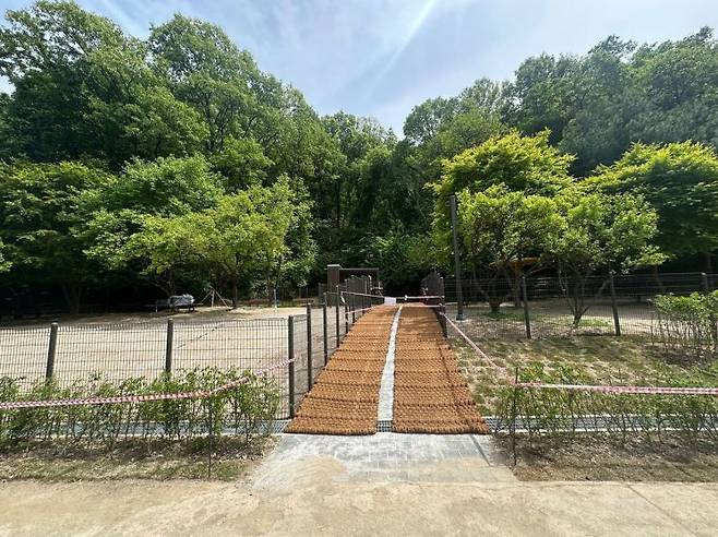 성남시 낙생대 공원 내 반려견 놀이터.왼쪽 대형견, 오른쪽 중·소형견 전용 공간. 성남시 제공