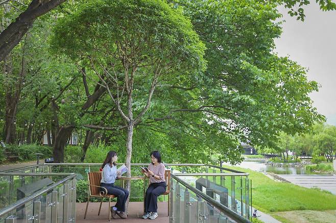 26일 서울 서초구 양재천 근린공원에 설치된 ‘바츨라프 하벨 벤치’. 서초구청 제공