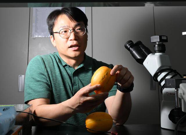 구강모 고려대 식물생명공학과 교수가 21일 서울 성북구 고려대 생명과학관 내 실험실에서 한국일보와 인터뷰하고 있다. 왕태석 선임기자