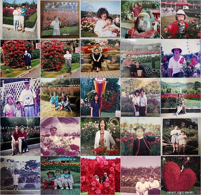 에버랜드 장미축제 40주년 추억사진 공모전에 나온 사진들 / 사진=삼성물산