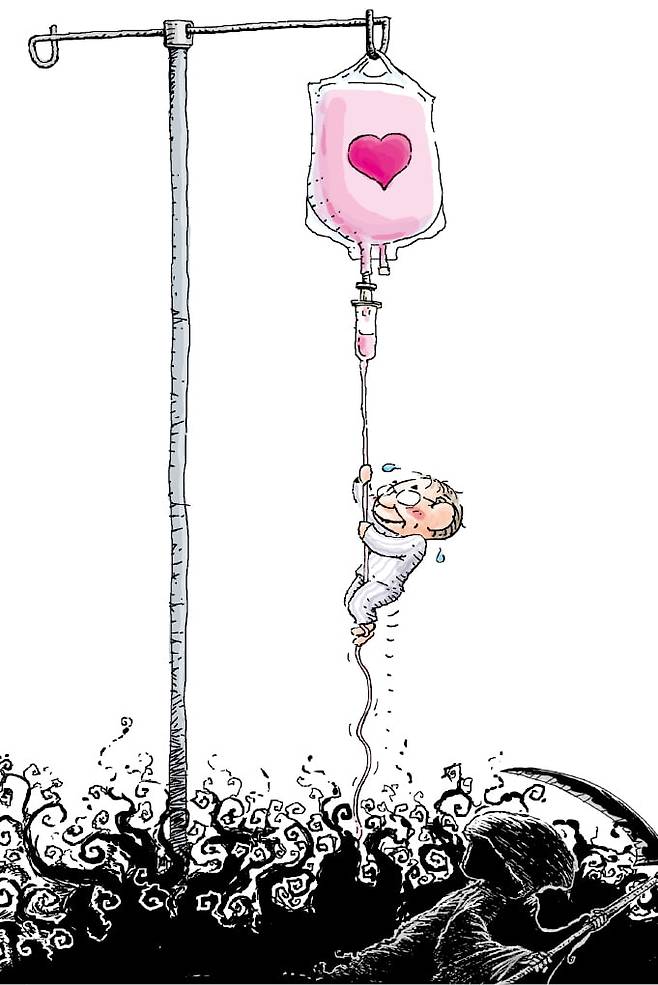 일러스트=추덕영 기자