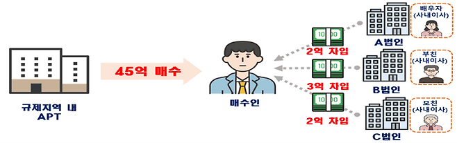 법인 자금 유용 의심 사례. 정당한 회계처리 없이 가족 법인에서 자금을 조달한 것으로 확인됐다. 국토교통부 제공
