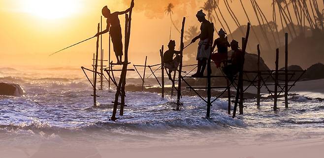 해질녘 스리랑카 어촌은 연평도 전통어로 모습을 연상케 한다.