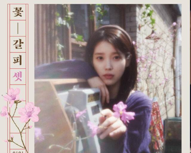 아이유는 최근 '꽃 갈피 셋' 리메이크 앨범으로 많은 사랑을 받고 있다. / '꽃 갈피 셋' 포스터