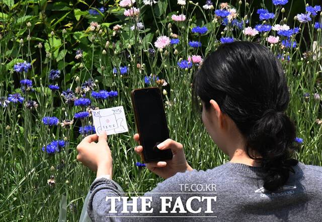 꽃을 배경으로 인증사진 찍는 시민.