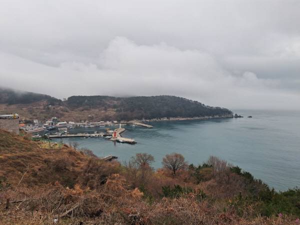 가덕도신공항이 들어설 부산 강서구 대항동 일대.