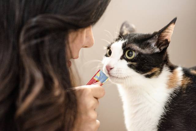 사진은 해당 기사 내용과 무관. 이미지투데이