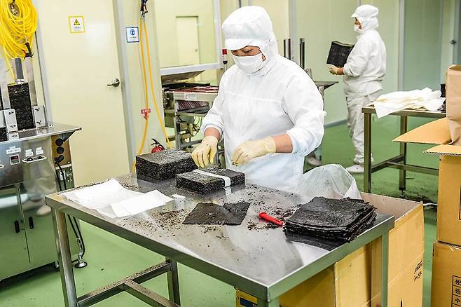 목포시 김 공장에서 작업자가 마른김 가공에 한창인 모습. <목포시 제공>