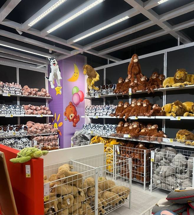 2일 한 중국인이 '이케아' 매장에서 판매할 법한 물건들을 북한에서 촬영했다며 자신의 엑스(X·옛 트위터) 계정에 사진을 공개했다.(X 갈무리)