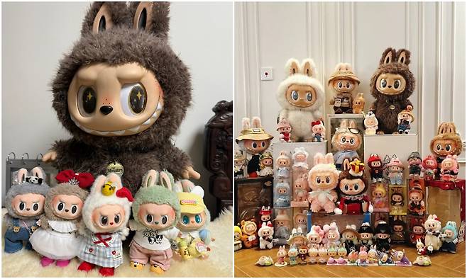 중국 SNS 웨이보에 올라와 있는 라부부 수집 인증 사진. /웨이보 캡처