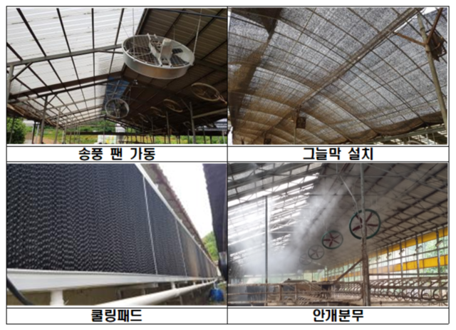 축사 관리 사진. 농촌진흥청