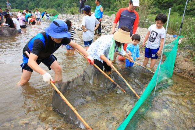 ▲지난해 울진 왕피천 피래미 축제 모습 ⓒ울진군청