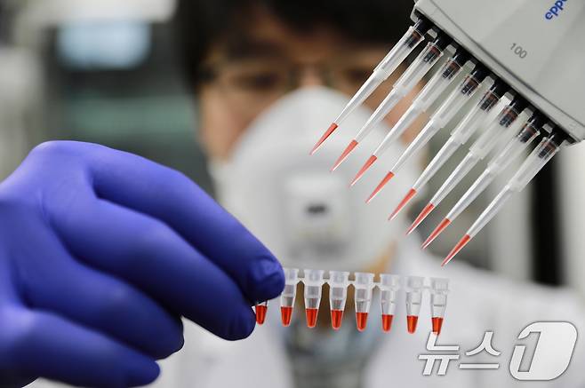 한 연구원이 감염병 진단 검사를 진행하고 있다. (사진은 기사 내용과 무관함.) (광주광역시 제공. 재판매 및 DB 금지)/뉴스1 ⓒ News1 박준배 기자