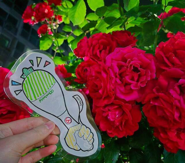 활동명 ‘별강아지’를 쓰는 ㄱ씨가 3일 엑스에 올린 투표 인증사진. 엑스 갈무리