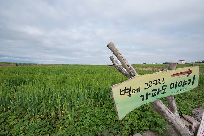청보리밭에는 소유자의 허락 없이 함부로 들어가서는 안 된다