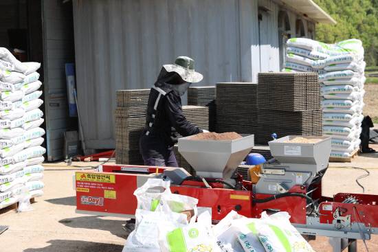 지난 4월 29일 개천면 친환경농업 벼 파종 현장 모습.