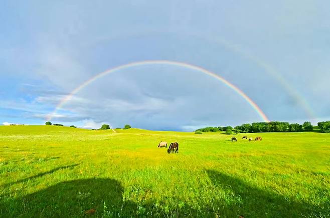 커스커텅 초원 (사진=바른투어)