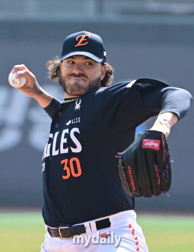 한화 선발투수 폰세가 역투하고 있다./마이데일리