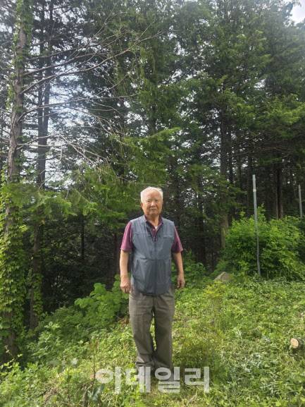 류형열 북상임산 대표가 자신이 식재한 잣나무숲 앞에서 기념촬영을 하고 있다. (사진=박진환 기자)