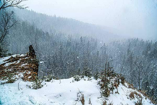절벽 끝에서 바라보는 지하삼림.