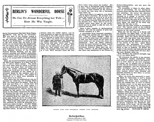 '영리한 말'를 보도한 1904년 9월 4일자 뉴욕타임스의 지면.