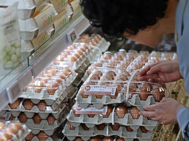 서울 시내 한 대형마트에서 고객이 계란을 고르고 있다. 사진=뉴스1