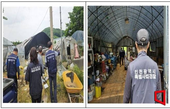 인천시 특별사법경찰이 그린벨트 내 불법 행위를 단속하고 있다. 인천시