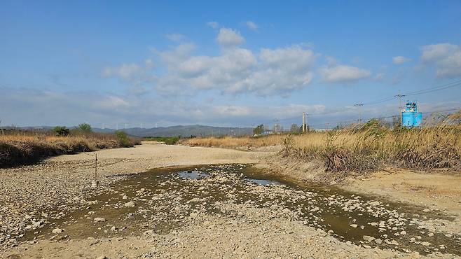 지난 4월 17일 오전 경북 포항시 북구 흥해읍 곡강천 상류가 말라있다. /뉴스1