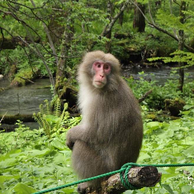 3fb8c32fffd711ab6fb8d38a4483746f3210888ee454334e86bd6bd28581ca1683109cd12c9e49ebc0e37fb3ed77