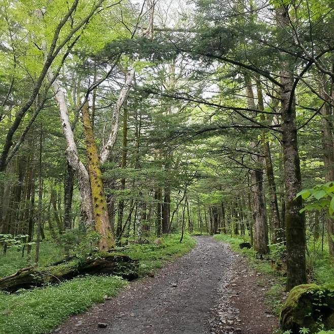 3fb8c32fffd711ab6fb8d38a4583746f658ec23cf59d7172d460c95a4d542a62f83f860bfd6ce560497cdbb9ced1