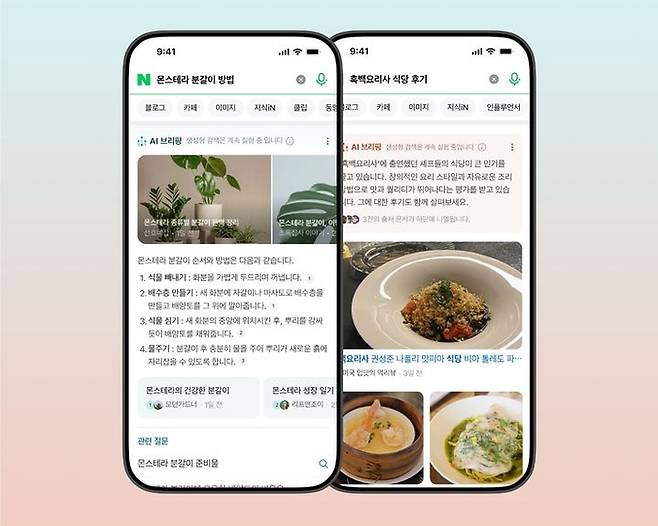 네이버 'AI 브리핑' 활용 모습 〈자료 네이버〉