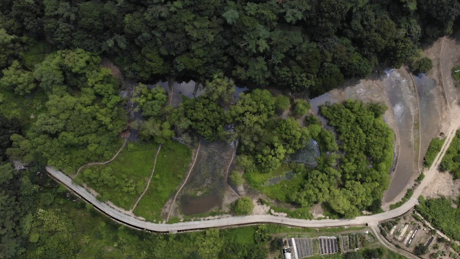 광주 북구 평두메습지.