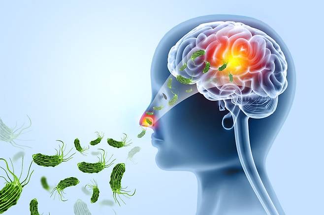 뇌 먹는 아메바 감염 경로 이미지. 사진=게티이미지코리아.
