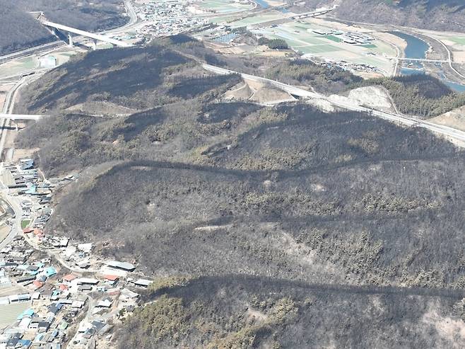 산불이 지나간 자리, 새까맣게 탄 흔적이 선명하다. 기후변화가 계속되는 한, 영남 산불은 언제든 다시 일어날 수 있다. 사진 기후위기기록단