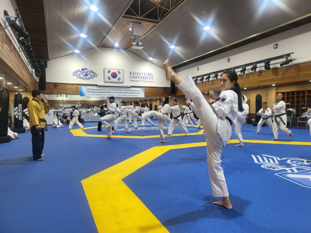 사진=대구세계대학태권도페스티벌 조직위원회
