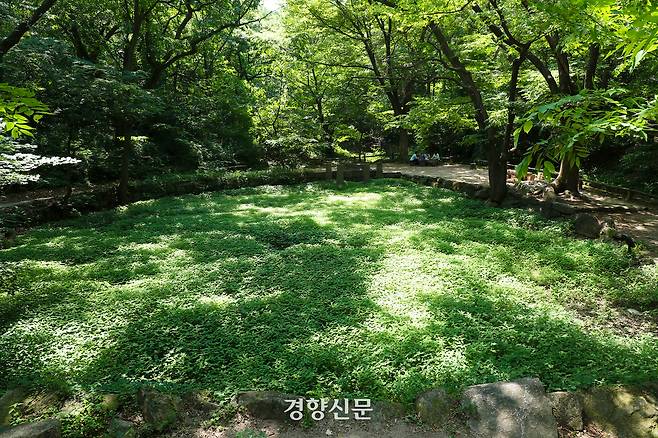 백사실 계곡의 여름. (2024년 6월 18일 촬영)