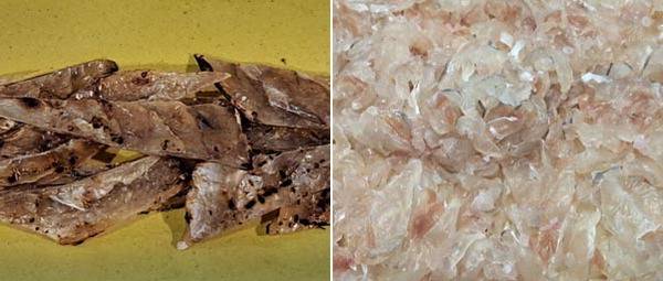 인기 술안주이자 간식인 쥐치를 가공한 ‘쥐포’(왼쪽)와 쥐치회. 쥐치회는 식감이 쫀득하고 어떤 양념장과도 잘 어울려 별미로 여겨진다.