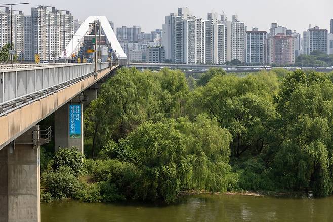 서강대교에서 본 밤섬. 과거 마포 8경 중 하나로 1999년부터 생태계보존지역으로 선정되어 출입이 통제되고 있다 사진제공|서울관광재단