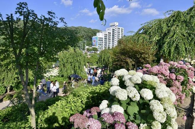 지난해 축제 모습/공주시청