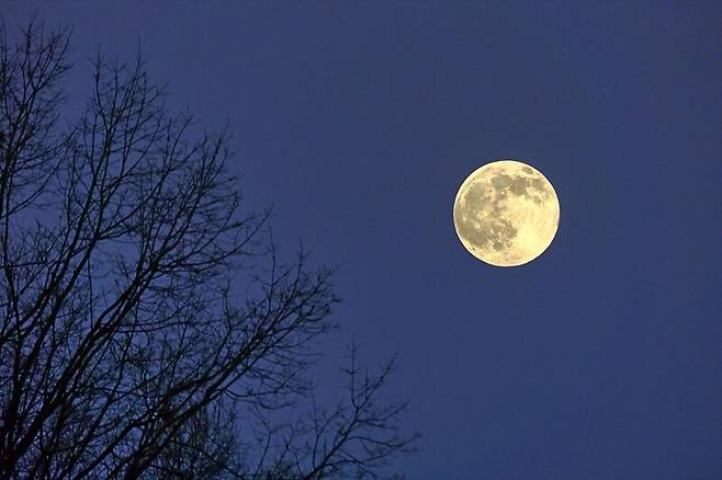 11일의 보름달은 18년만에 가장 낮게 뜬다. 픽사베이