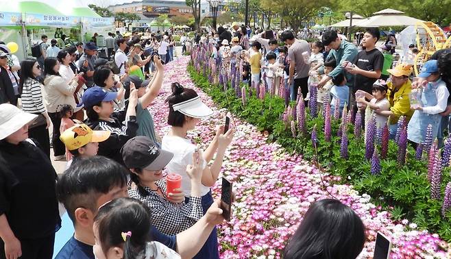 전남 함평 나비축제 모습. 전남도 제공