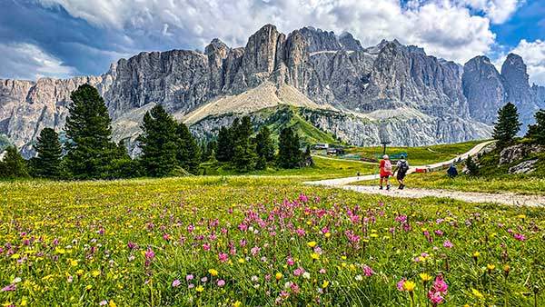 트레킹 3일차 프라라산장으로 향하는 꽃길. 가르데나 패스와 셀라산군 그리고 사쏘룽고까지 한눈에 들어오는 웅장한 파노라마가 펼쳐진다.