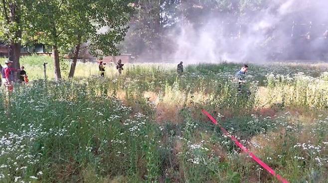 지난 11일 서울숲 공원 내 화재 진압 모습. /TV조선